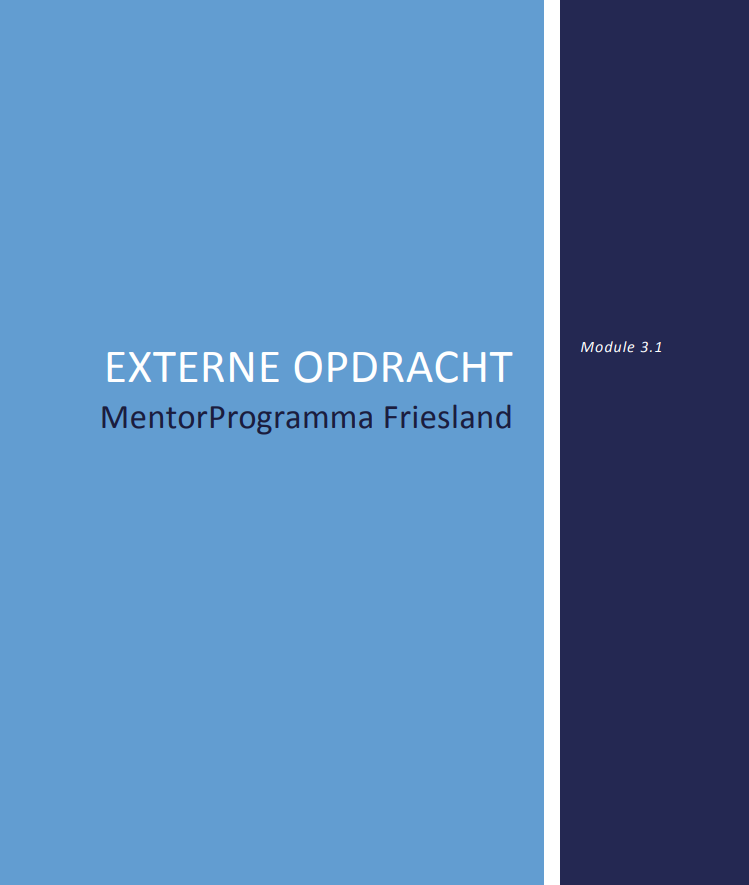 Onderzoeksrapport MentorProgramma Friesland - 6 November 2015
